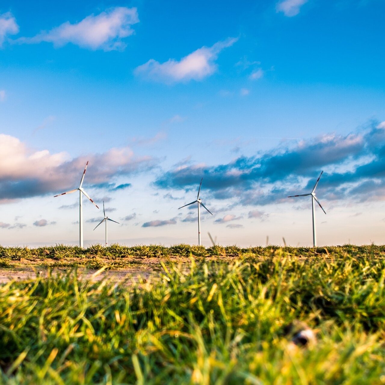News Bild: Informationsveranstaltung Windparkvorhaben